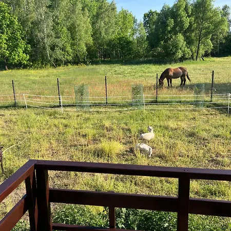 Agroturystyka Chicken House Prázdninový dům *